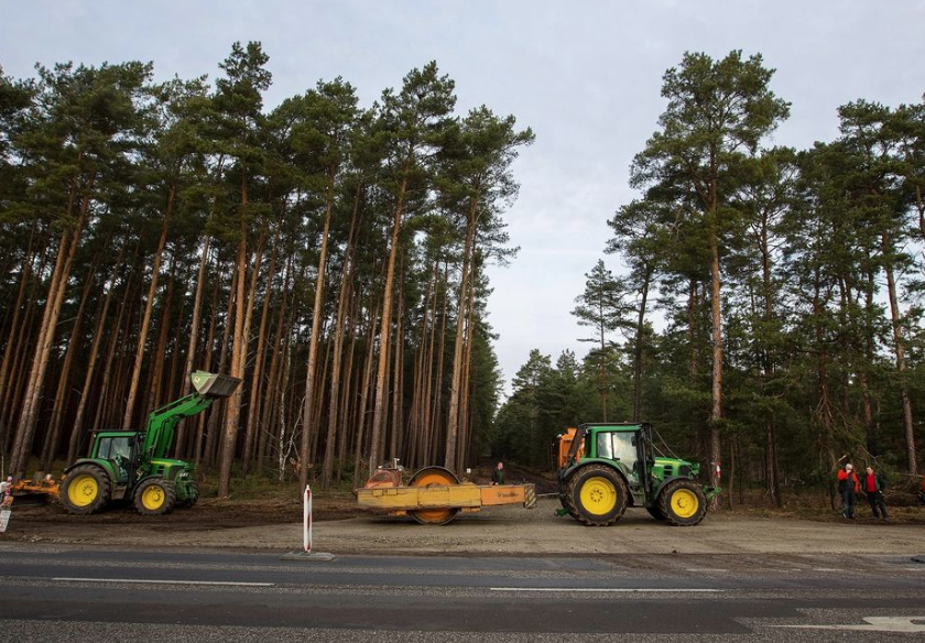 German Court Rules Tesla Must Stop Cutting Down Local Forest To Make Room For Its Gigafactory