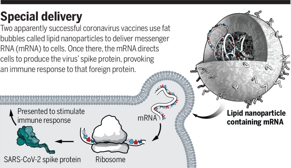 Blue Checks are Just Lying About the Coronavirus mRNA “Vaccine,” Saying It Isn’t Gene Therapy