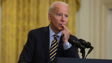 Biden shouldn’t run again, Democrats say