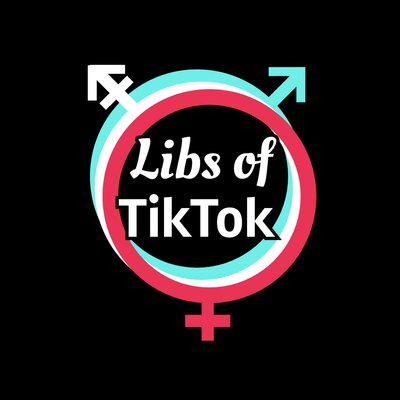 Libs of Tik Tok on Gab: ‘In case Twitter bans me soon, I just joined MINDS…’