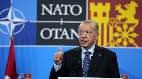 Turkey berates NATO applicant over ‘terrorist propaganda’ – reports