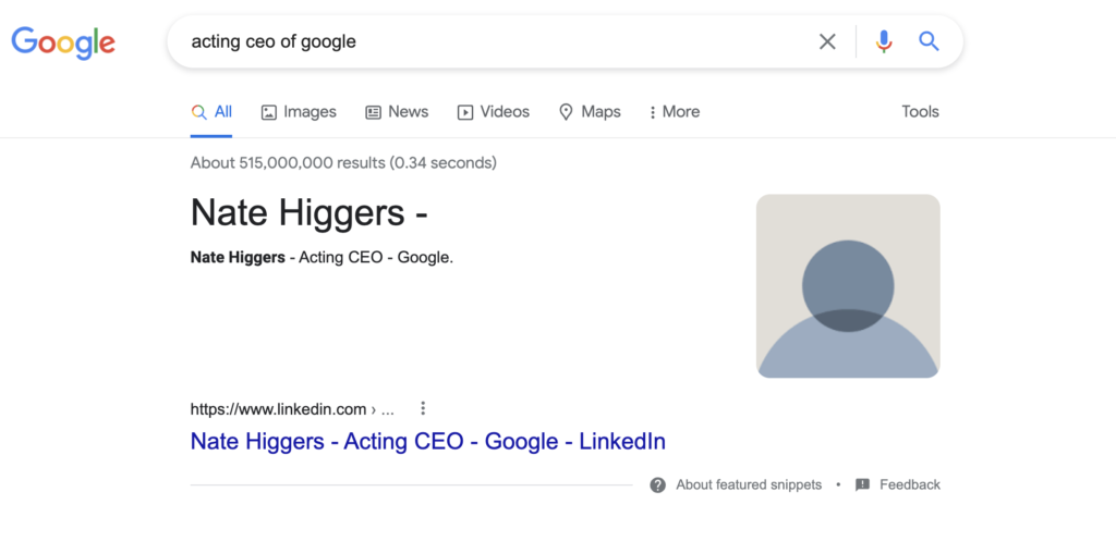Google Search Results Name “Nate Higgers” as Acting CEO of Google