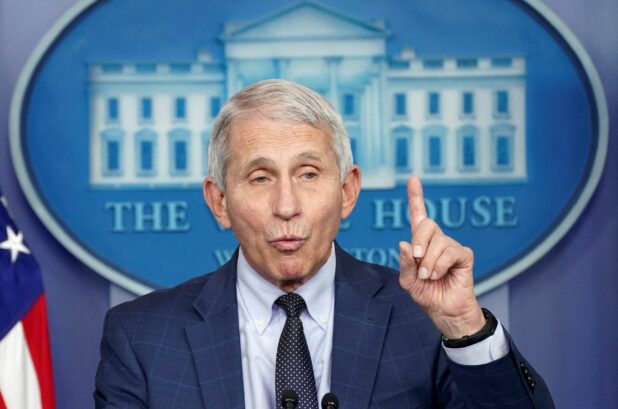 Fauci Says He’ll Step Down From Current Government Positions in December