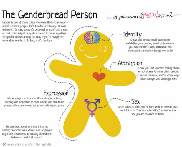 Genderbread Person Teaches Kids About Anuses in California School District