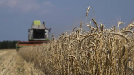 West to blame for soaring food prices – Moscow