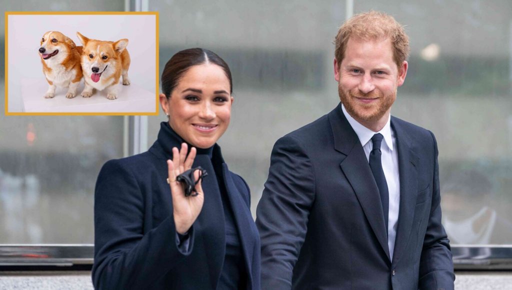 SATIRE – King Charles Replaces Harry & Meghan With Two Corgis In Line Of Succession