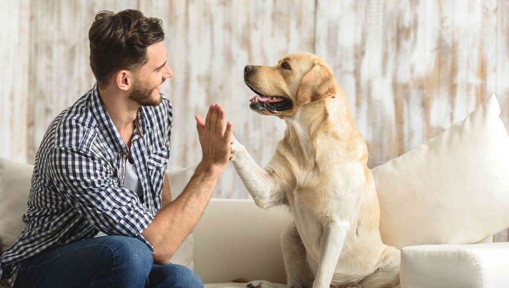 SATIRE – ‘You Stupid Idiot Dog!’ Says Man Who Loves Dog