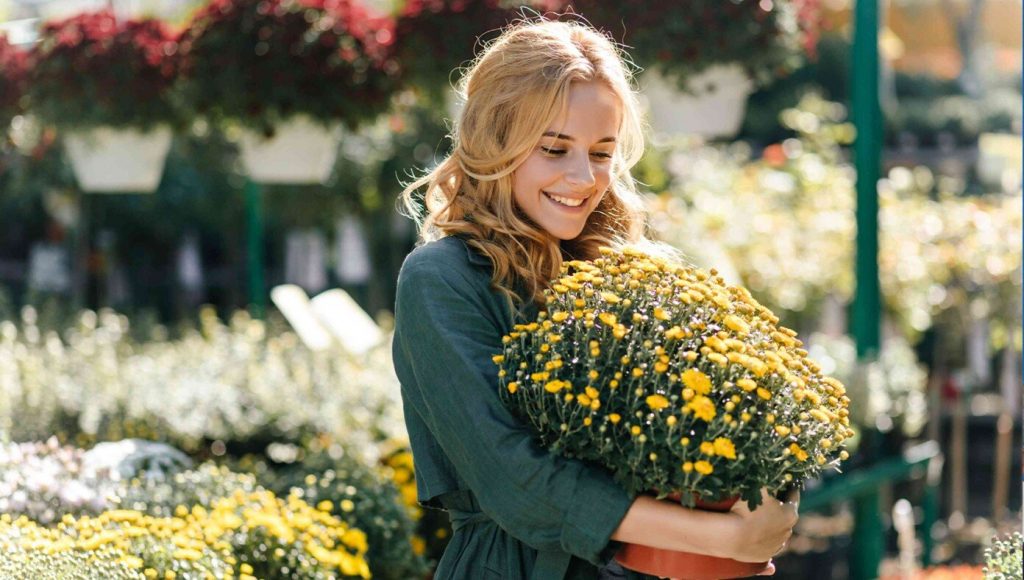 SATIRE – Wife Carefully Selects Perfect Fall Mums To Kill