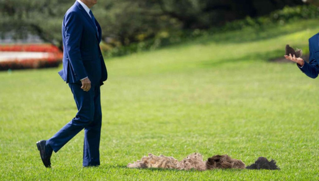 SATIRE – Aides Sprinkle Hair Along Path So Biden Will Go The Right Direction