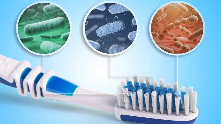 How Dirty Is Your Toothbrush?