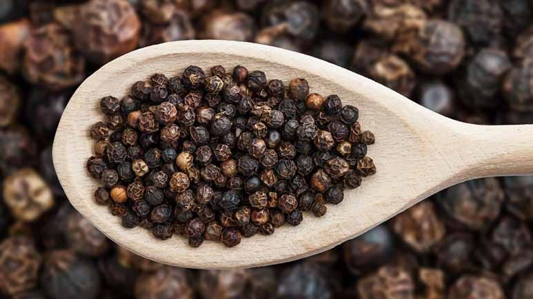 Black Pepper: So Much More Than a Spice