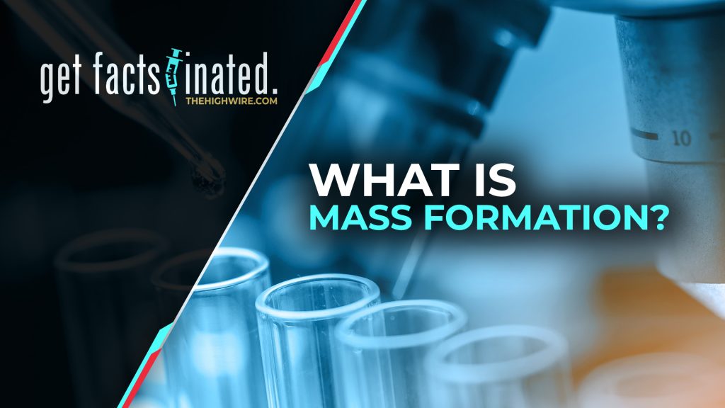 WHAT IS MASS FORMATION?