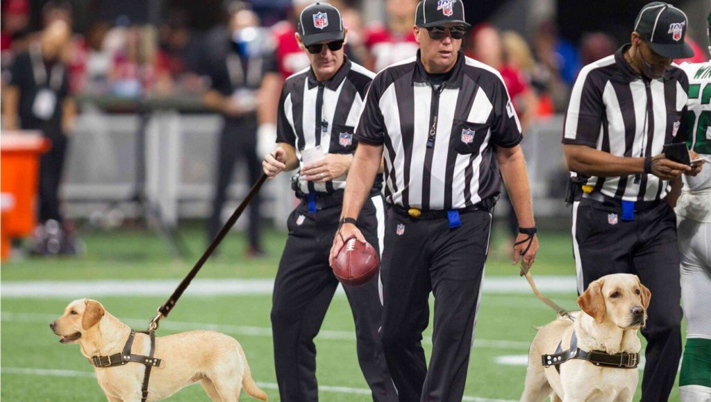 SATIRE – To Increase Accuracy Of Calls, NFL To Provide All Refs Seeing-Eye Dogs