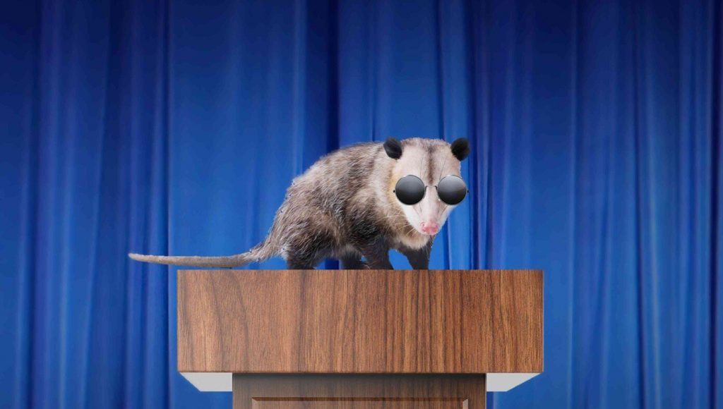 SATIRE – Republicans Accused Of Ableism For Pointing Out Democrat Candidate Is A Blind Possum With Brain Damage