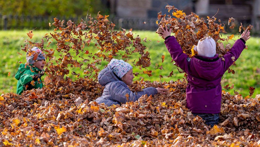 SATIRE – Kids Joyfully Frolic In Pile Of Autumn Leaves And Dog Poop