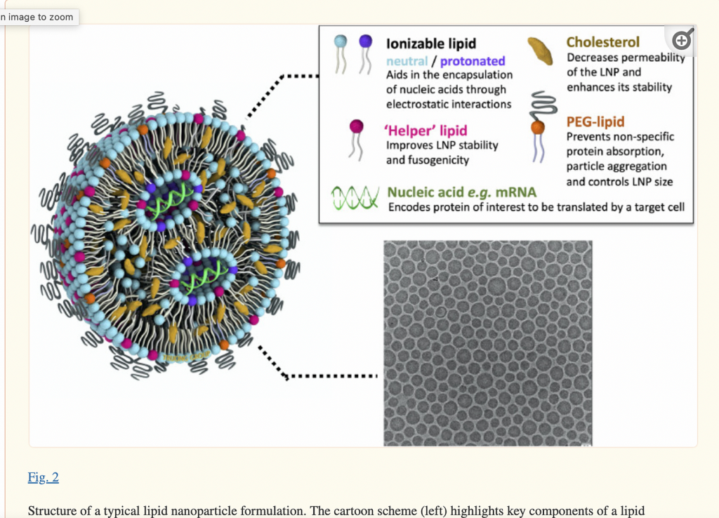 Lipid Nanoparticles: Are They Subtly Changing Human Beings?