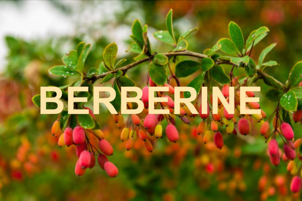 Well Being: Berberine