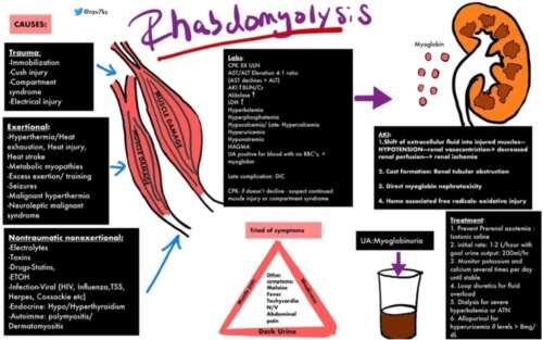 Report 67: Part 4b – Rhabdomyolysis – a.k.a., “Jellied Muscle” – After mRNA Gene Therapy Injections