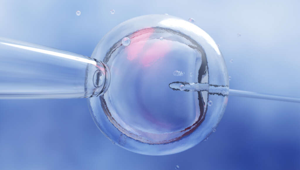 As Scientists Create Synthetic Human Embryos, Who is Protecting Our Children?