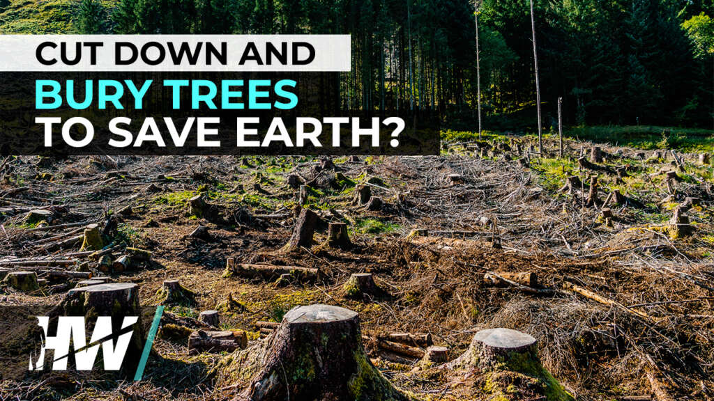 CUT DOWN AND BURY TREES TO SAVE EARTH?