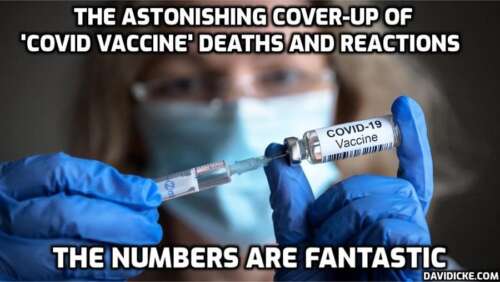 Mortality Rates per 100k prove Quadruple Fake-Vaccinated Adults are 104% more likely to die than Unvaccinated Adults