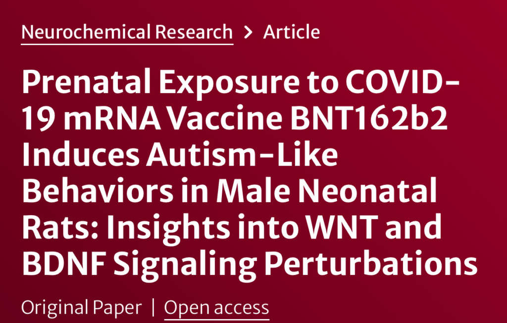 URGENT: Giving mRNA Covid vaccines to pregnant rats caused brain changes and autism-like behavior in their young, a new study shows