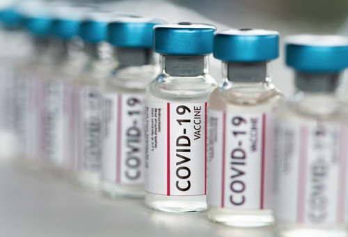 ‘Covid’ Fake Vaccines Cause ‘Autism’ in Lab Rats, Study Finds