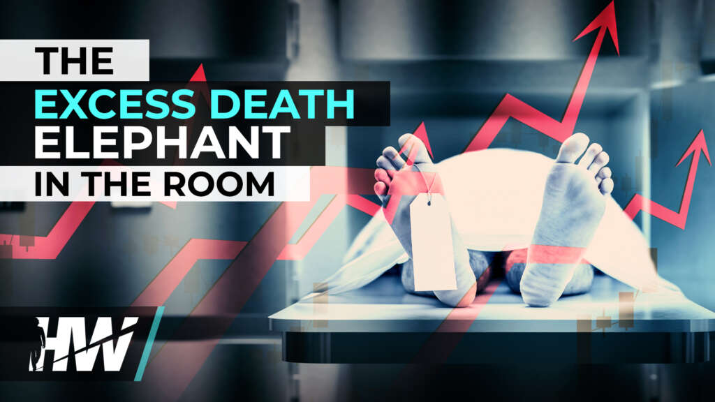 THE EXCESS DEATH ELEPHANT IN THE ROOM