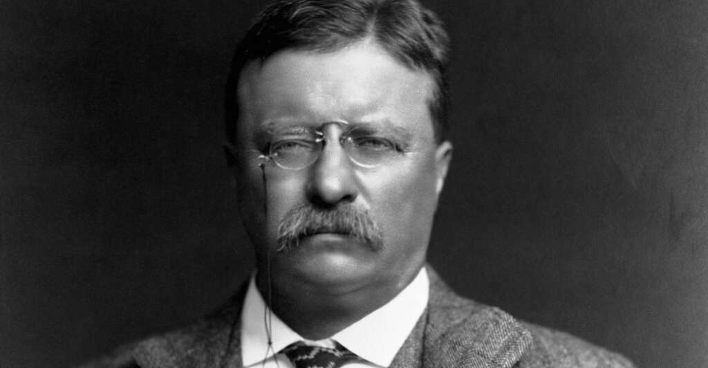 Injury and Abscess: Teddy Roosevelt, Immigration, and Population Collapse