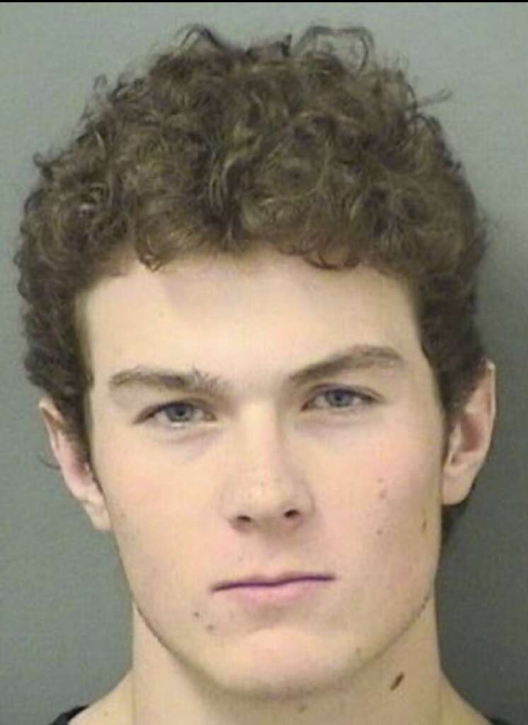 Florida: 19-Year-Old Arrested, Charged with Felony for Defacing Anal Intersection