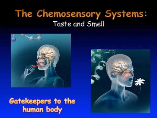 The Highly Profitable Intentional Manipulation of Our Chemosensory Systems