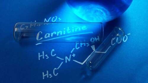 What Do L-Carnitine Supplements Really Do?