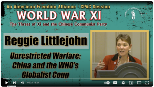 Reggie Littlejohn – Unrestricted Warfare: China and the WHO’s Globalist Coup