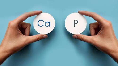 How Your Calcium-to-Phosphorus Impacts Your Health
