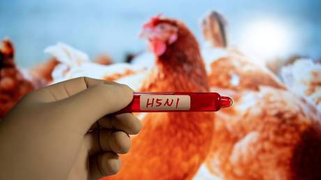 Bird flu virus found in US retail milk