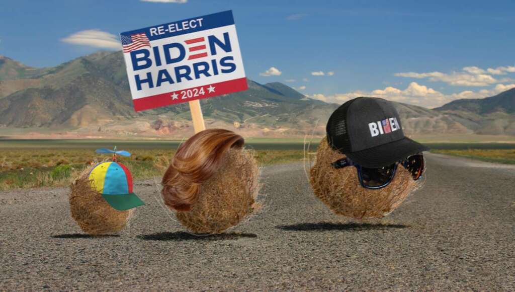 Family Of Tumbleweeds Excitedly Makes Trip To Biden Rally (Satire)
