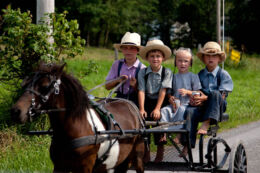 White Preservationist Communities: Lessons from the Amish Blueprint