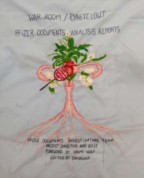 Embroidery of Book Cover for “Pfizer Documents Analysis Reports”