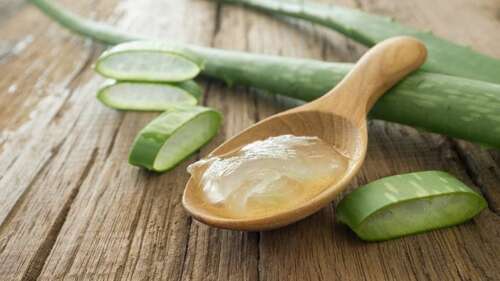 What Is Aloe Vera Good For?