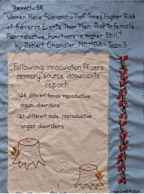 Embroidery: “Women Have Two and a Half Times Higher Risk of Adverse Events Than Men. Risk to Female Reproductive Functions Is Higher Still.”
