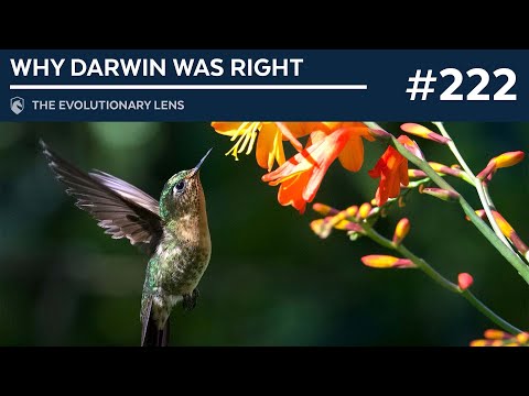Why Darwin was Right: The 222nd Evolutionary Lens with Bret Weinstein and Heather Heying