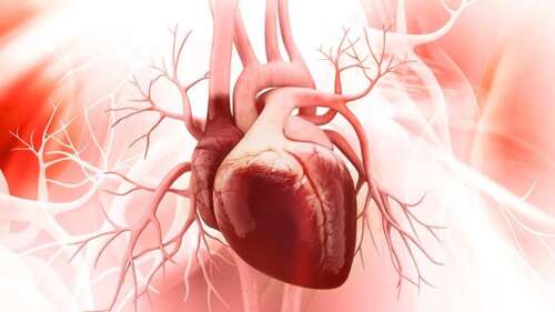 Toxins Cause Heart Failure and Cardiomyopathy