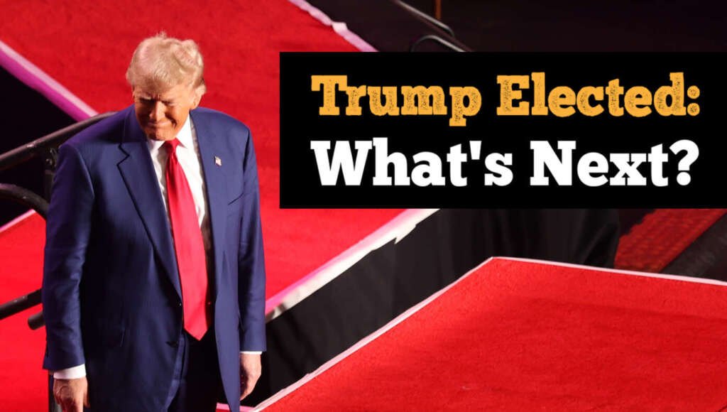 Trump Is Now President Elect. Here Are 12 Things That Happen Next (Satire)