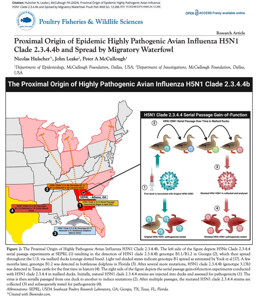 Reckless H5N1 Bird Flu Gain-of-Function Experiments Must Be Shut Down