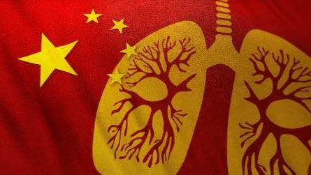 Easily Overlooked Issues Regarding COVID-19