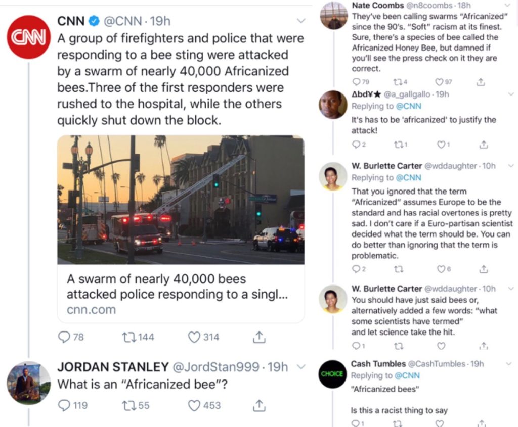 Respondents to CNN Article About ‘Africanized Bee Attack” Complain of Racism