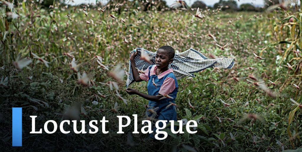 Europe’s Anti-Science Plague Descends On Africa