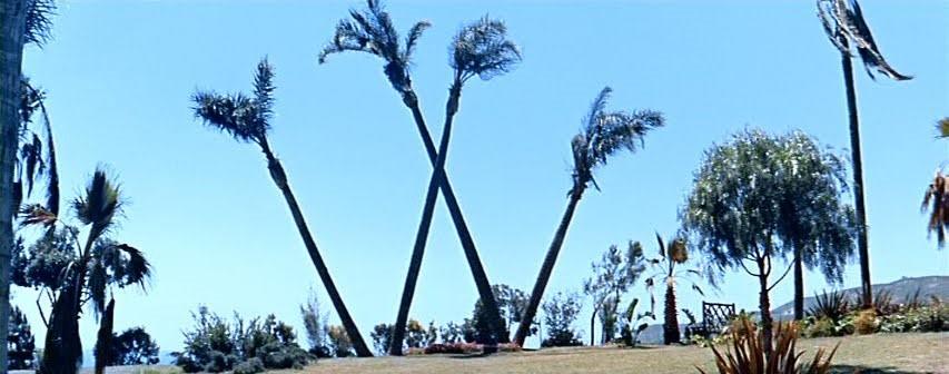 It’s A Mad, Mad, Mad, Mad Market