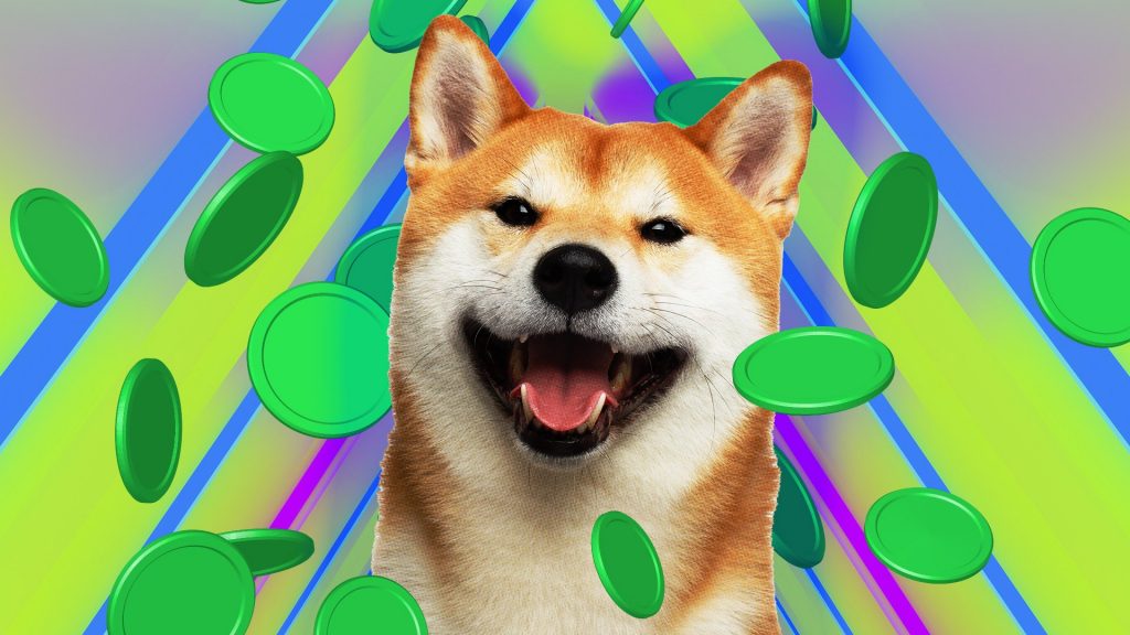 $8,000 Invested in Shib Shitcoin in August 2020 Now Worth $5.7 Billion