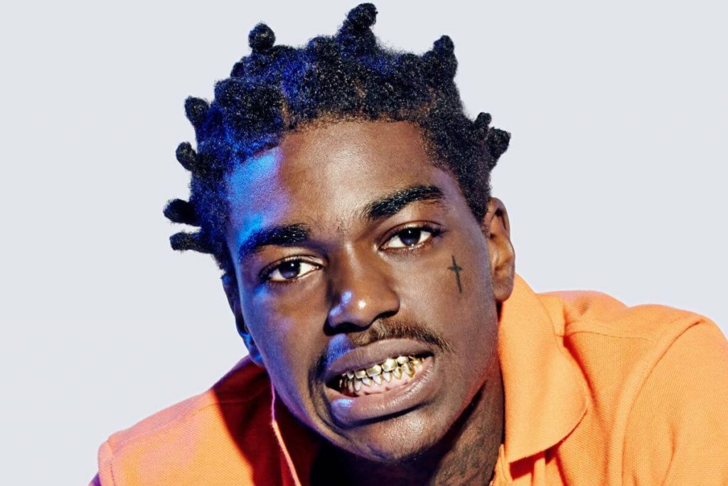Stormer Ebonics Translations: Kodak Black – Senseless